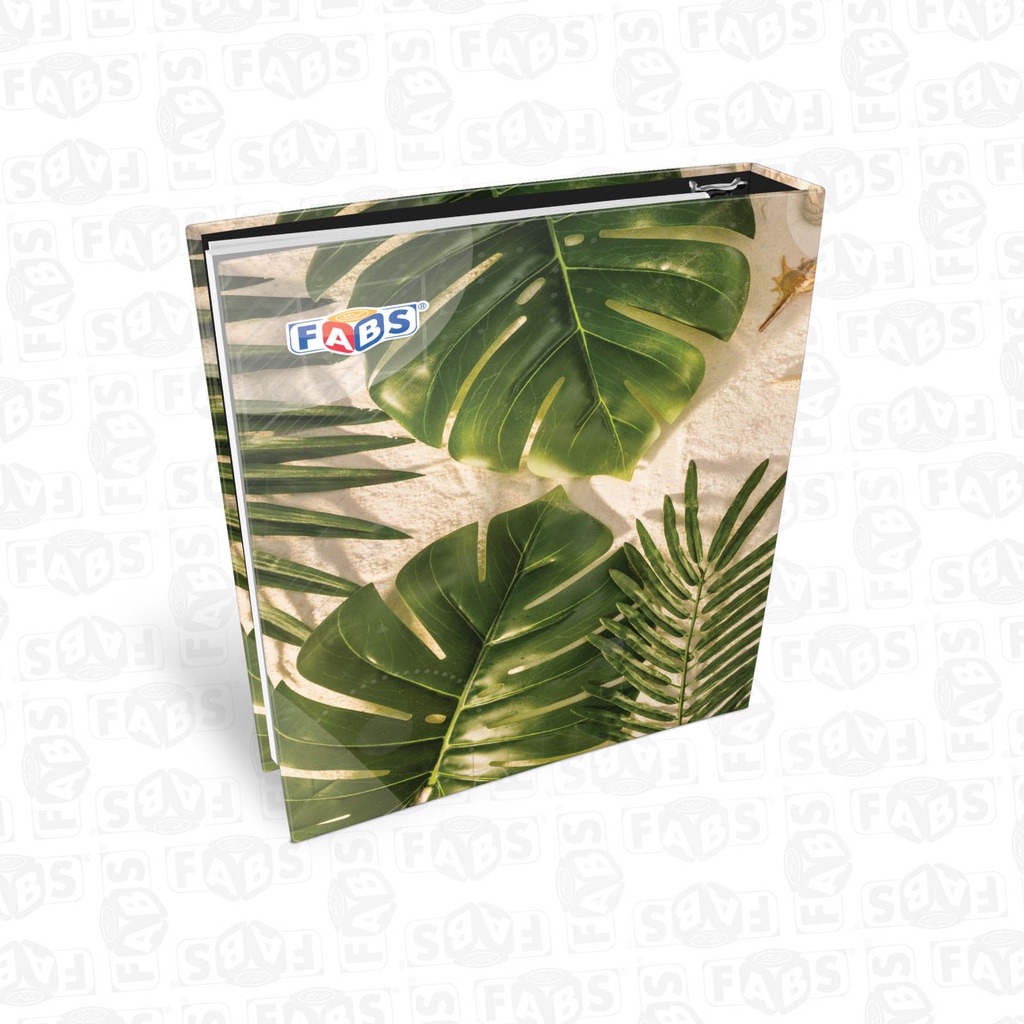 Classeur pour feuilles mobiles FABS 